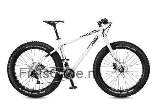 KTM Fat Flea specificaties